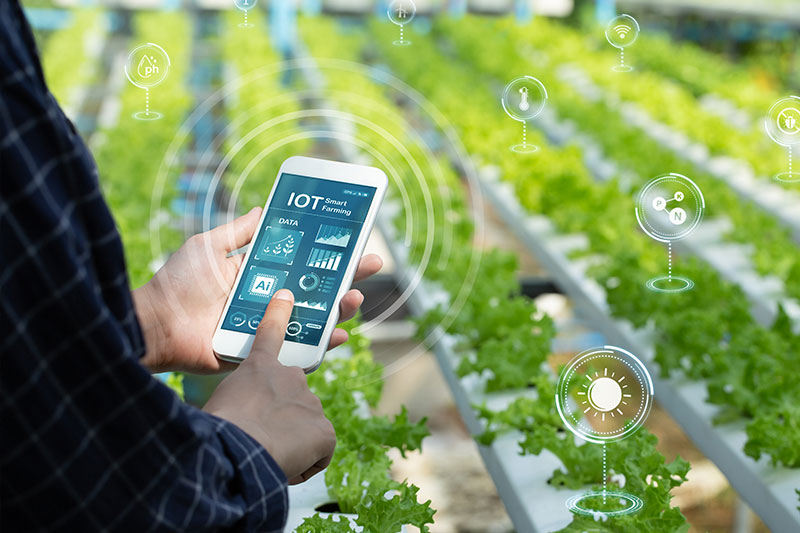 IoT and smart monitoring